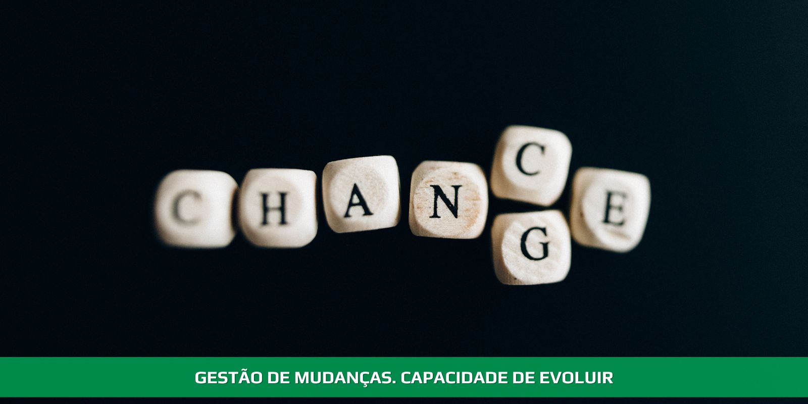 Figura 4 - GESTÃO DE MUDANÇAS. CAPACIDADE DE ADAPTAÇÃO É A CHAVE